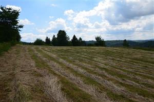 Pokosená čast lokality